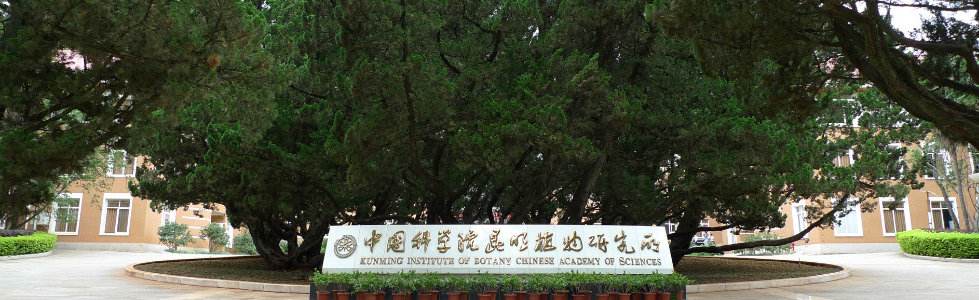 昆明植物所2020年全国统考硕士拟录取名单