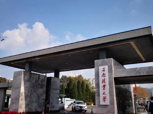 西南林业大学开展研究生奖学金申请工作